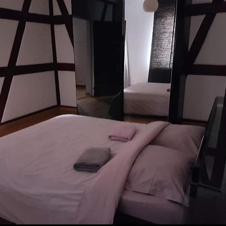 Spacious Appartement Colmar 2 Luaran gambar
