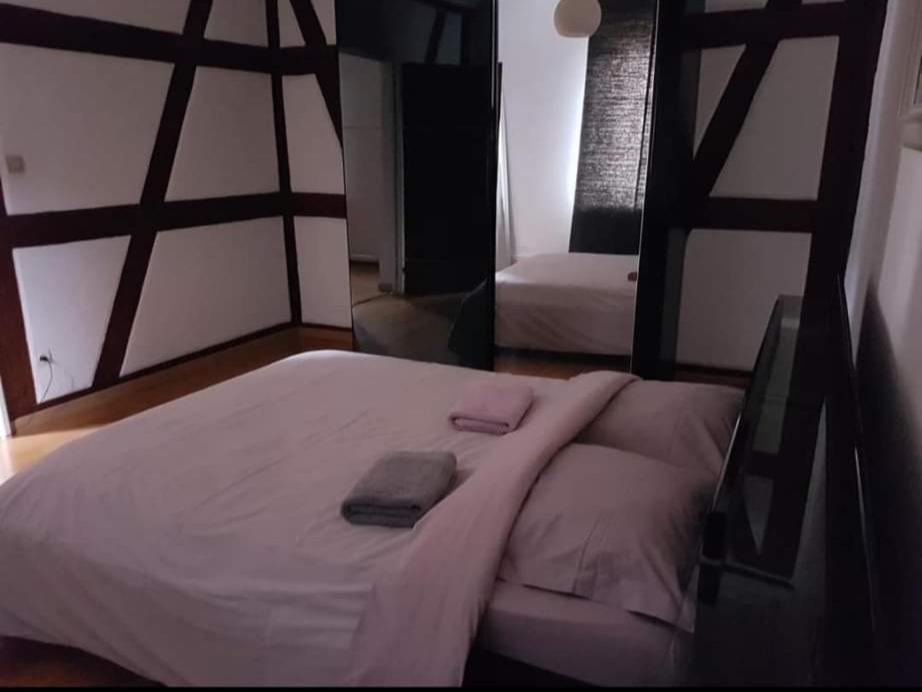 Spacious Appartement Colmar 2 Luaran gambar